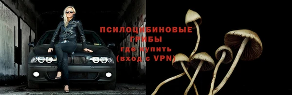дживик Няндома