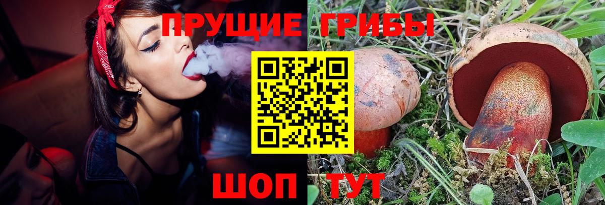 Псилоцибиновые грибы Magic Shrooms  Галлюциногенные грибы прущие грибы  Кунгур  Вход с VPN 