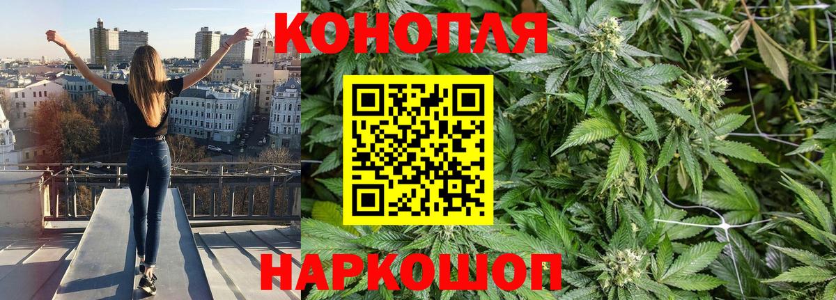 Марихуана планчик  Кунгур  Канабис THC 21% 